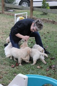 IMG_1361 Free Puppy Raising Clinic